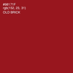 #98171F - Old Brick Color Image
